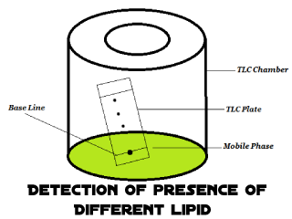 Detection of presence of different lipid components in an oil sample by TLC
