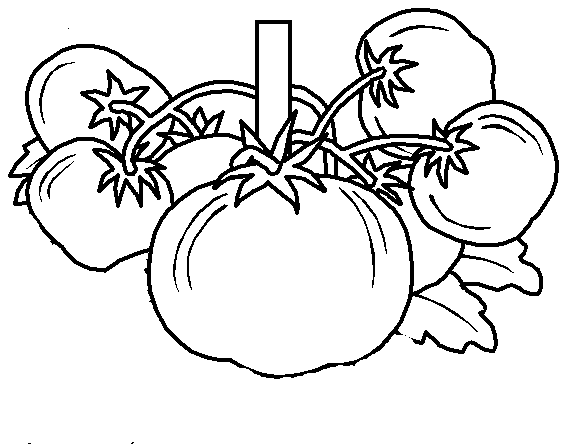 ugli fruit for coloring pages - photo #16
