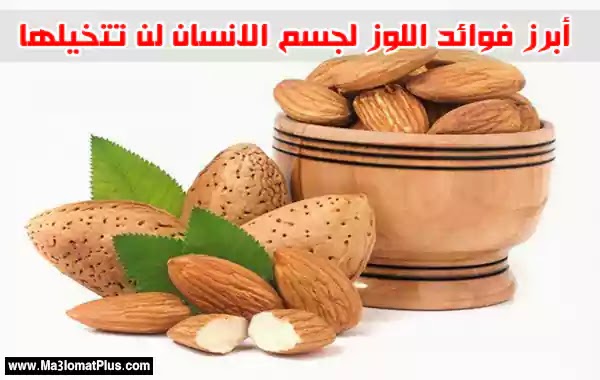أبرز فوائد اللوز لجسم الانسان لن تتخيلها أبرز فوائد اللوز لجسم الانسان لن تتخيلها