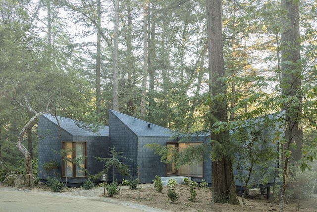 Picture of dark grey small modern house among the trees