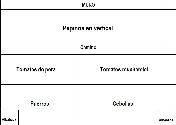 El huerto de Ramón: Esquema del huerto