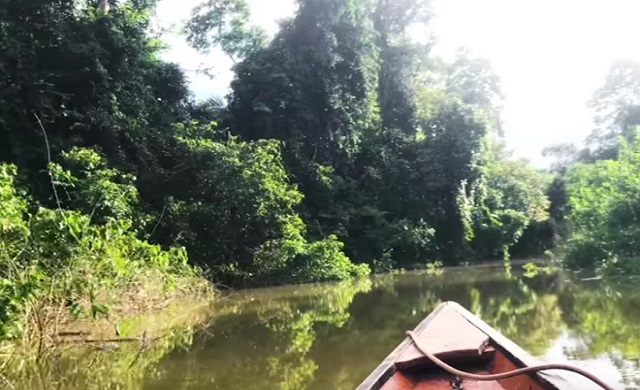 Berikut ini yang merupakan komponen biotik dalam ekosistem sungai adalah