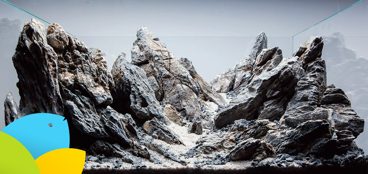 Aquascape Galery Jenis Batu Aquascape