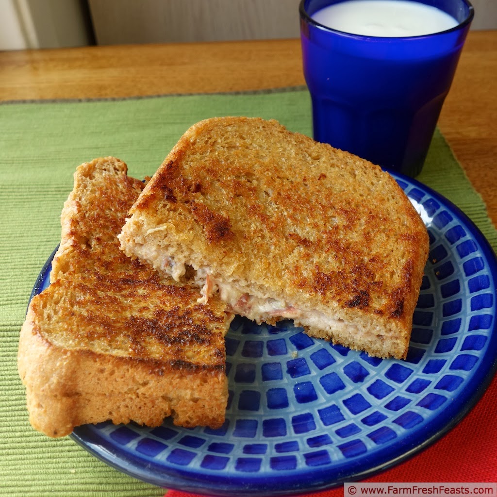 Farm Fresh Feasts Multigrain Sourdough Bread (in a bread machine)