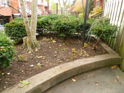 Toronto Garden District Fall Cleanup After by Paul Jung Gardening Services--a Toronto Gardening Services Company Toronto Garden District Fall Cleanup After by Paul Jung Gardening Services--a Toronto Gardening Services Company