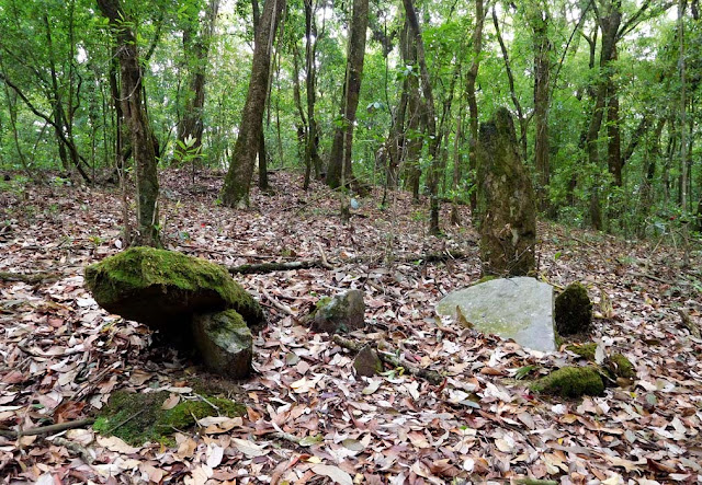 Monoliths inside the Mawphlang Sacred Forest, Meghalaya
