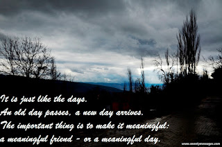 Old friends pass away, new friends appear. It is just like the days. An old day passes, a new day arrives. The important thing is to make it meaningful: a meaningful friend - or a meaningful day.