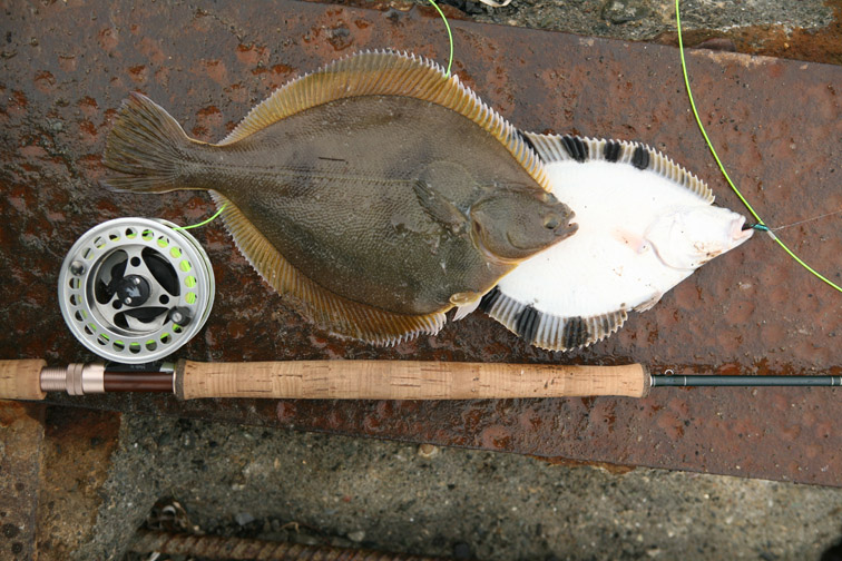 Flyfishing Russia Testing of a new model of a troutspey type fly rod