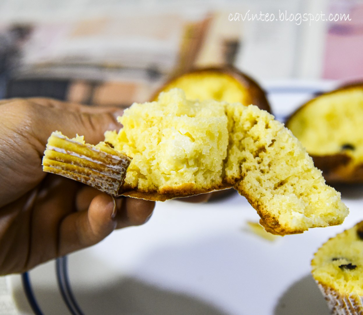 Entree Kibbles Assorted Muffins from Chocolat N' Spice Tanjong Pagar