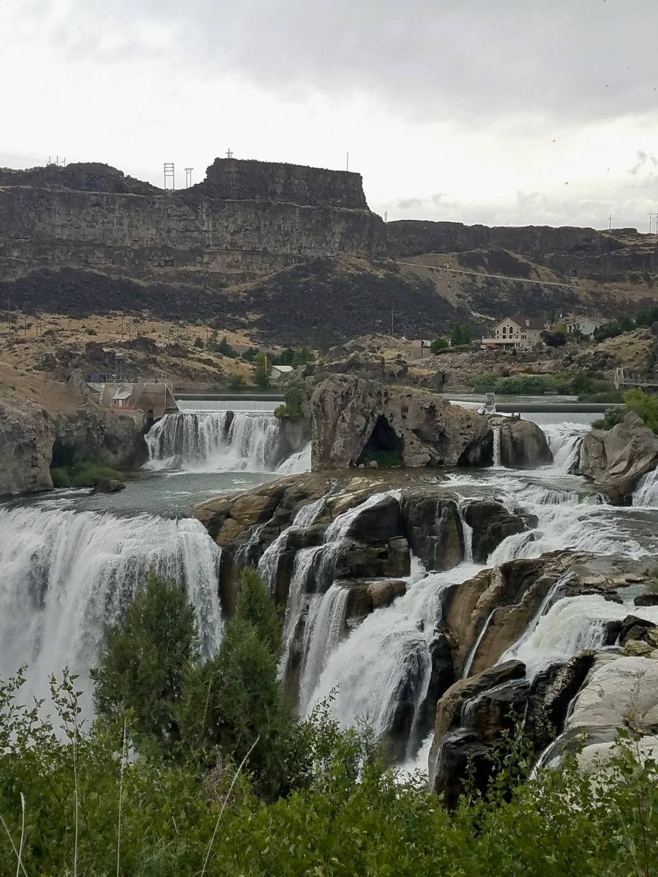 From a girl's mind Sun Valley Dairy 1