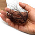 Home Remedies for Hair Fall Tips and Treatment in Hindi