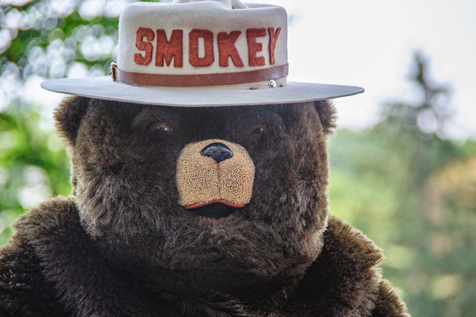 Extreme Fishing with Robson Green - Topic - YouTube