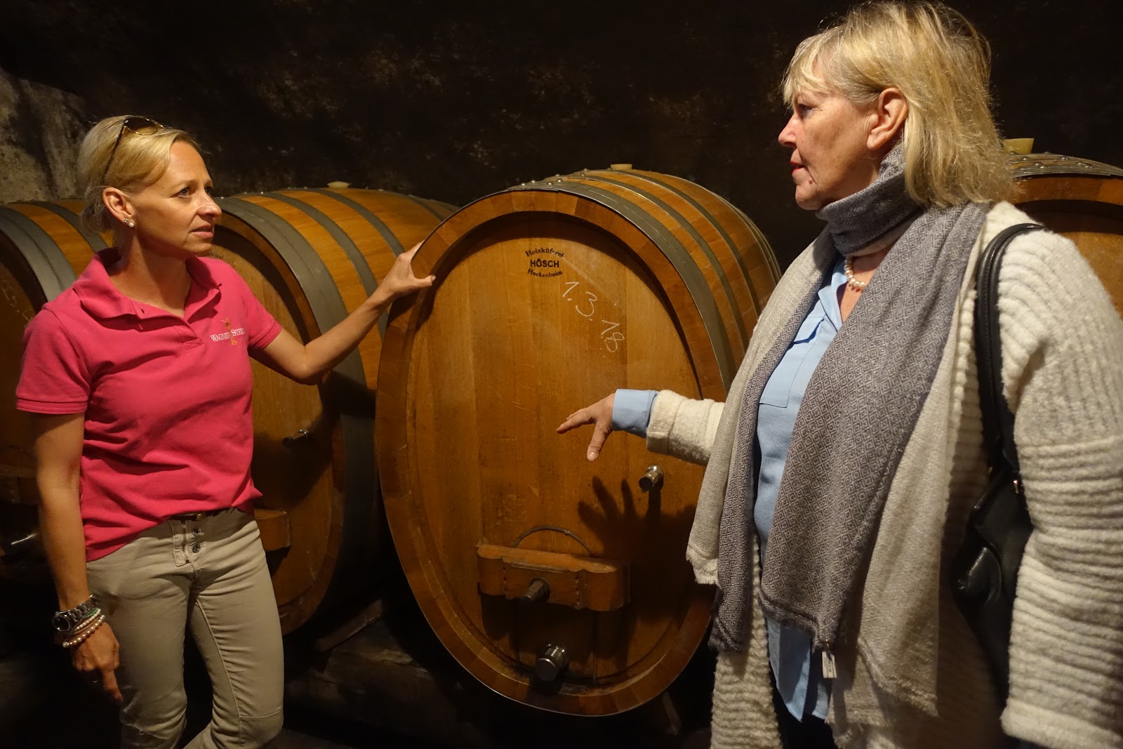 Schiller Wine Cellar Tour And Tasting At Weingut Wagner Stempel