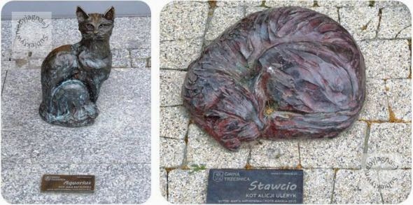 https://1.bp.blogspot.com/-0gkEEEOoFUY/U9WG0KFnkPI/AAAAAAAABH8/LjFmatVYdF8/s1600/wroclaw_C_03.jpg