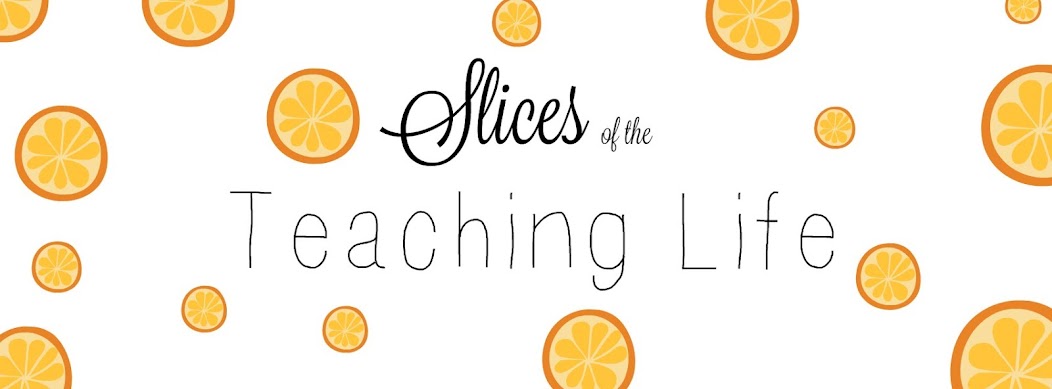 Slices of the Teaching Life