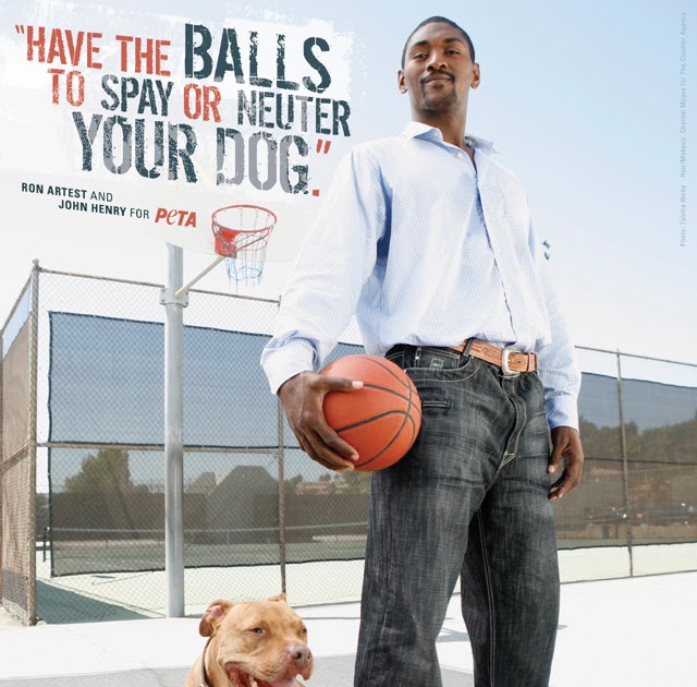 Didier Bourdon Wish You Were Here Celebrity Sports: Ron Artest Picture
