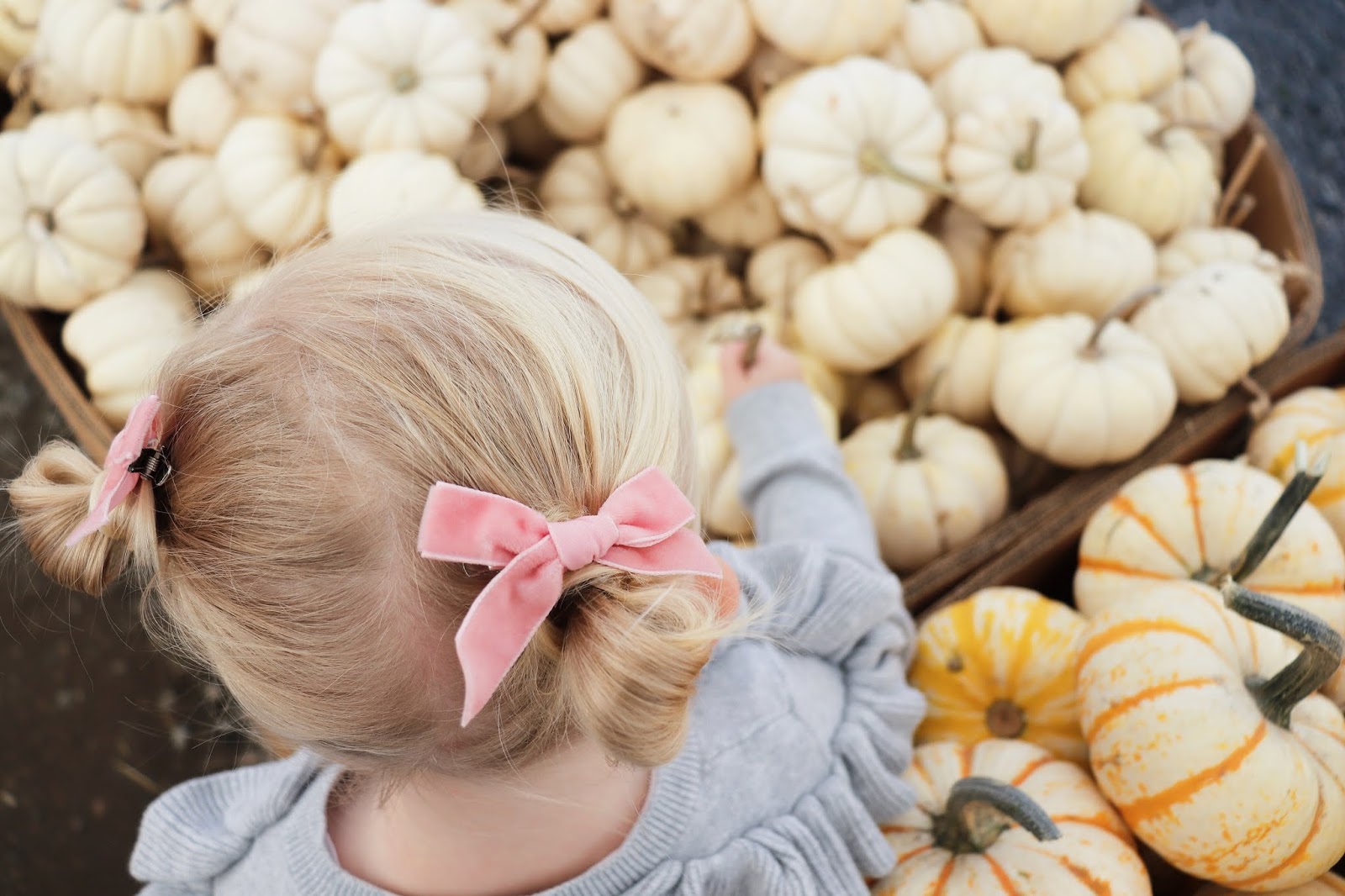 fall bucket list for kids. toddlers