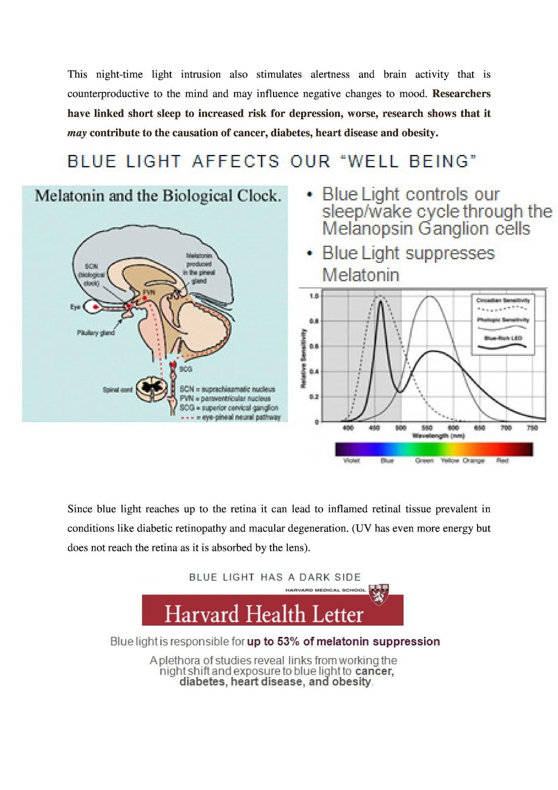 DANGERS OF BLUE LIGHT IN TODAY’S DIGITAL WORLD 3 page 2