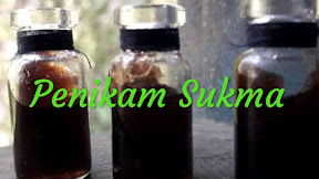 √ [212] Minyak Pelet Penikam Sukma