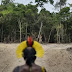 FIQUE SABENDO! / Líder indígena é assassinato em emboscada de madeireiros no Maranhão