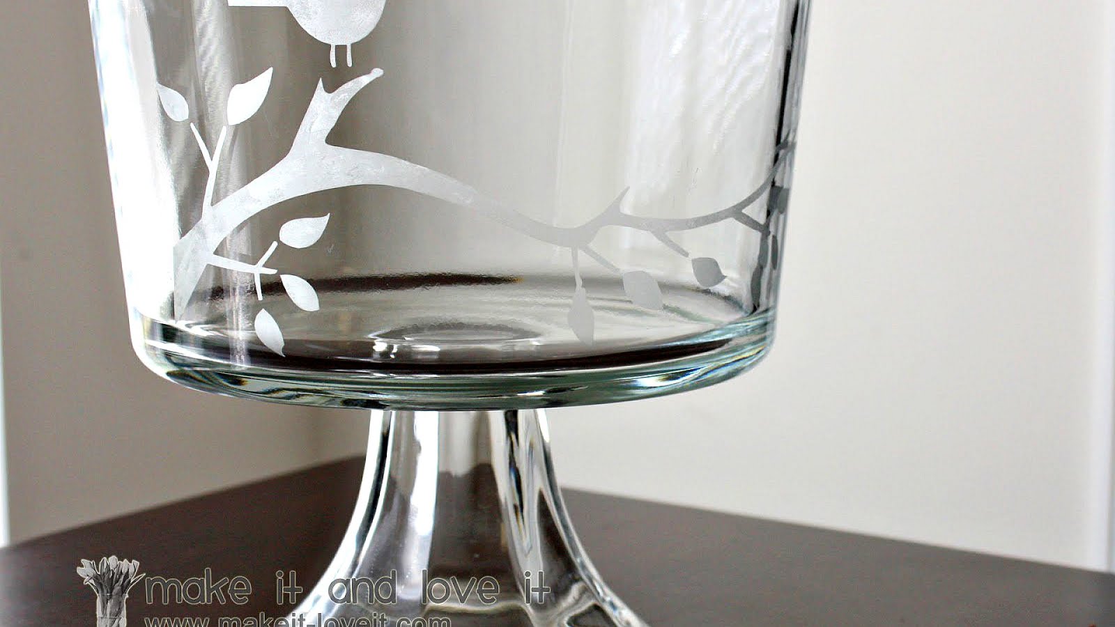 Etched Glass Diy DIY Choices