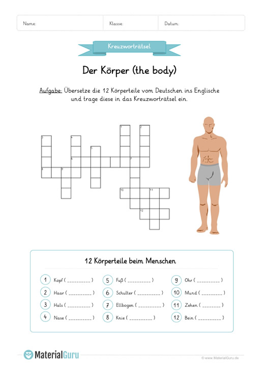 Körper Englisch lernen 2019 - Tipss und Vorlagen