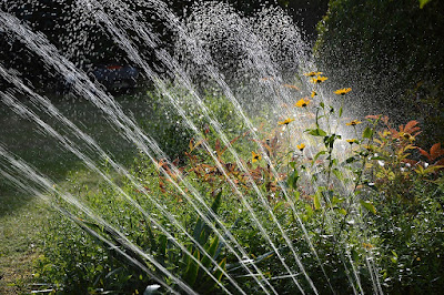 Riego en jardín 