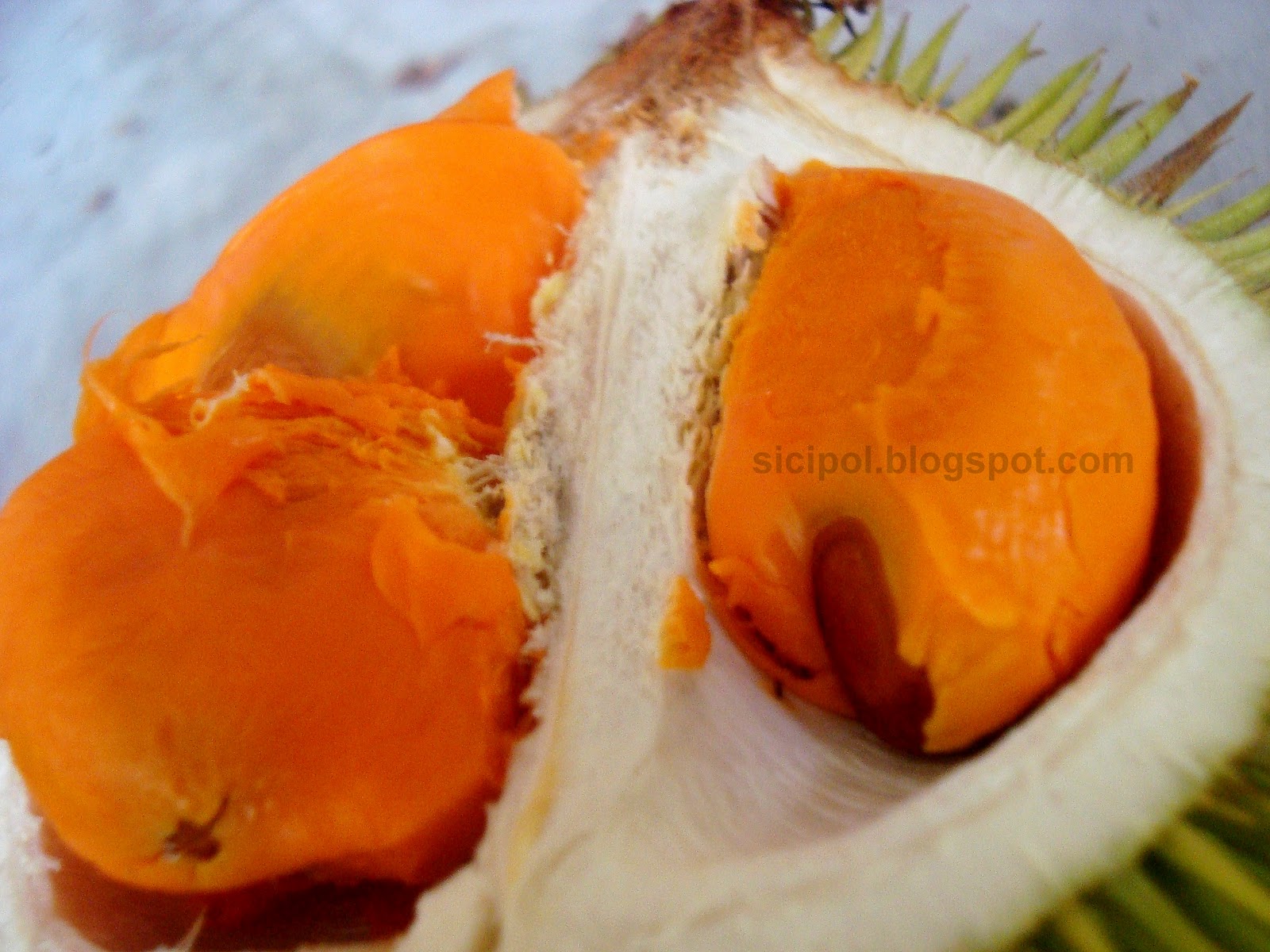 Me Say ^_^: Durian Merah - Hanya Di Sabah!
