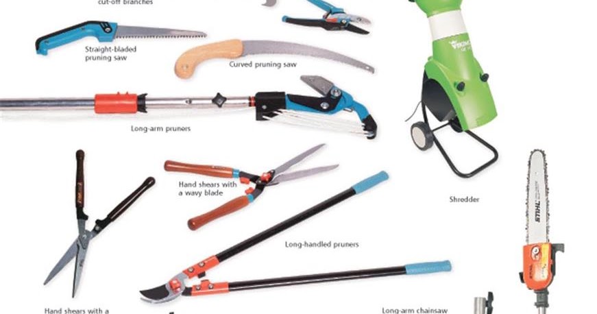 Tree Removal Services