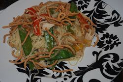 Vegetable Lo Mein with Chicken