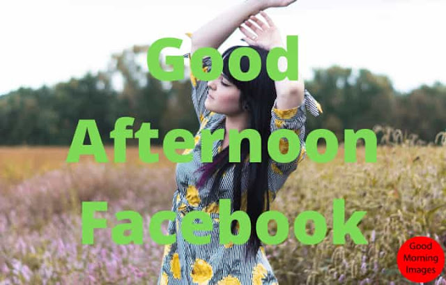 quotes for good afternoon facebook quotes for good afternoon facebook