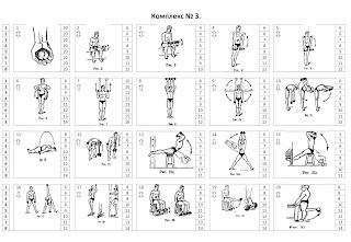 Пустовойт упражнения с гантелями амортизатором гирями читать
