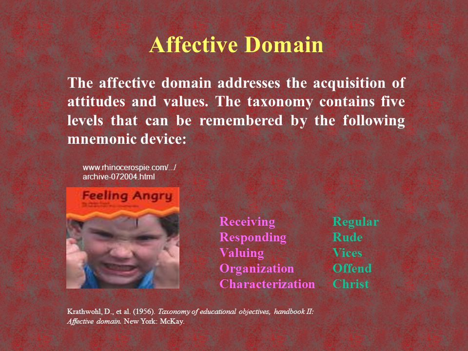Affective domain assessment