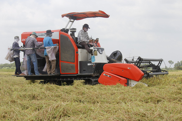 covid nông dược việt nam
