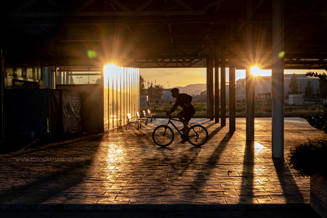  Paseos en bicicleta