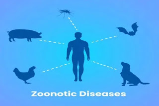 World Zoonoses Day 2021: Why is World Zoonoses Day celebrated on 6 June?