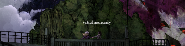 Virtual Meinsanity