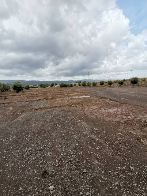 IMG 4090 | Lamianow.gr