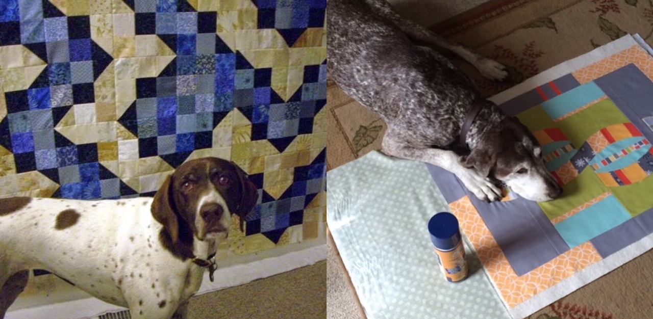 2017 FAL Meet the Hosts Karen of Capitola Quilter