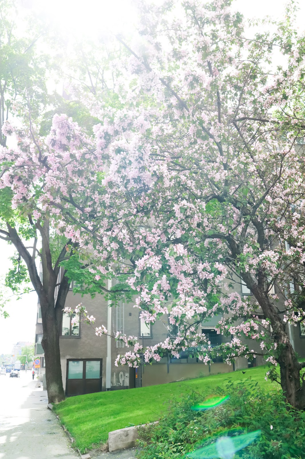 Big mamas home by Jenni S, Mitä tehtiin viikonloppuna, Game of Thrones, arki, viikonloppu, koti,