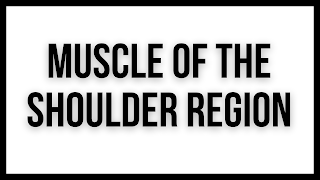 Muscle of the shoulder region