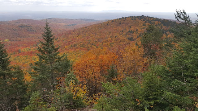 Point de vue à partir du somment du mont Chapman