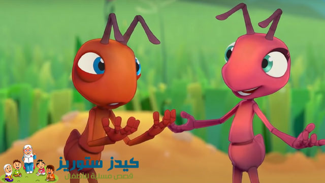 قصة النمل مع سيدنا سليمان من القرآن للأطفال