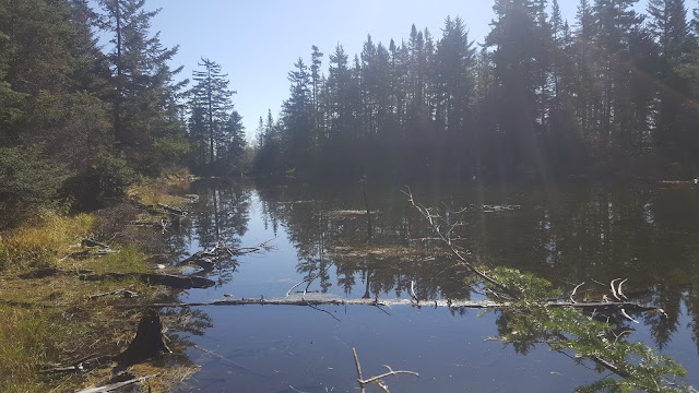 Point de vue à partir du sentier pour le mont Tremblant