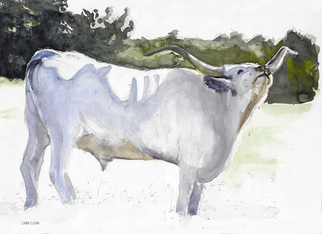 Longhorn -  watercolor by Linda S. Leon