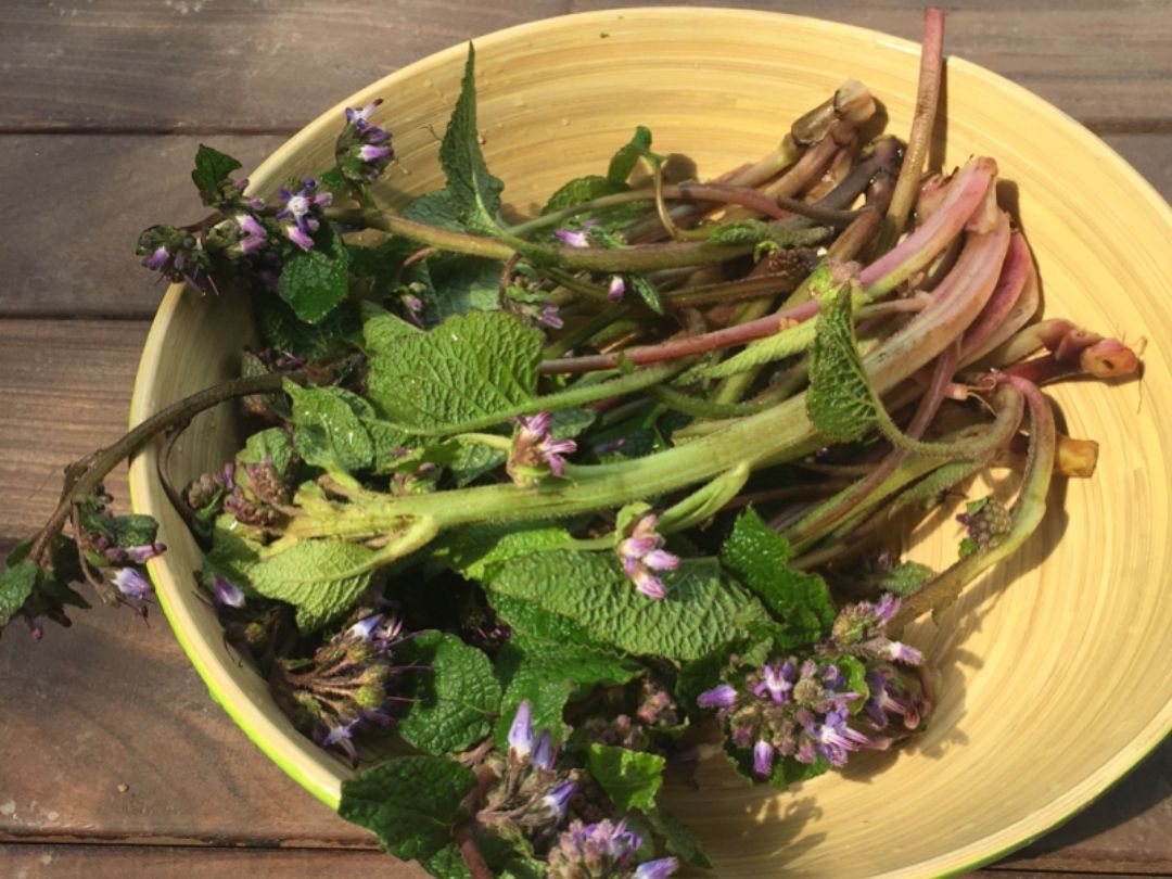 bulmaca bil subat 2021