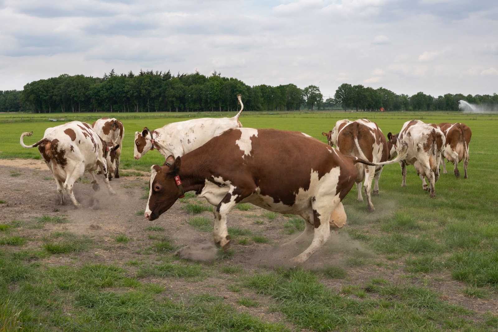 Met fiets en camera op pad.
