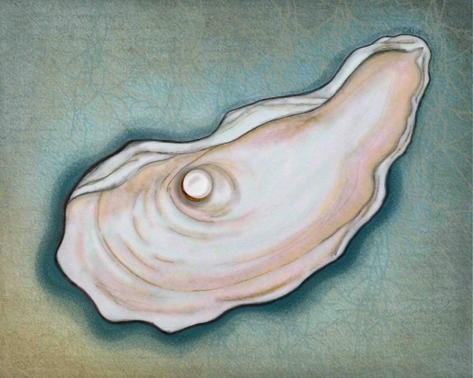 ракушка с жемчужиной. жемчужина графика. ракушка с жемчужиной карандашом. жемчужина в раковине эскиз. открытая раковина с жемчужиной.