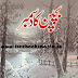 Bachpan ka December By Hashim Nadeem Novel Pdf