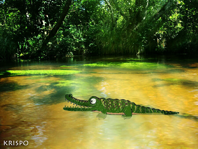 cocodrilo pintado en el lago leon